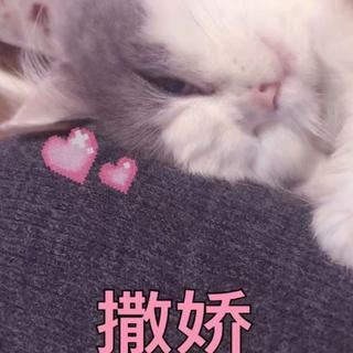 如我不在，祝你早安，午安，晚安。