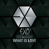 'WHAT IS LOVE' EXO-K 프롤로그 싱글 1st专辑