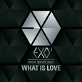 'WHAT IS LOVE' EXO-K 프롤로그 싱글 1st