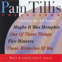 One Of Those Things - Pam Tillis (karaoke)