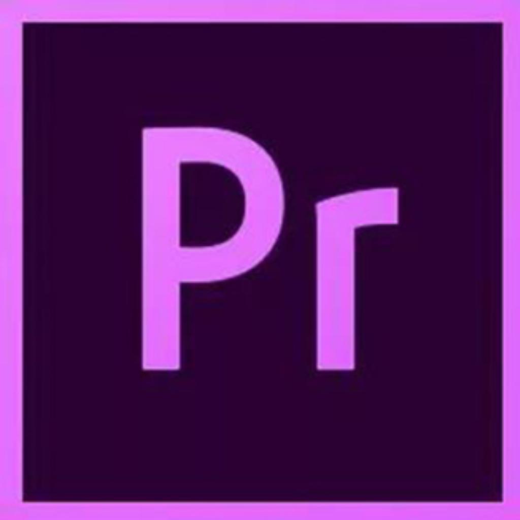 【Pr剪辑】综艺搞怪音效