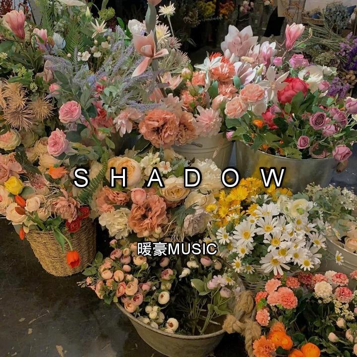 Shadow