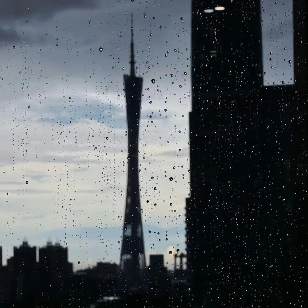 雨过后的风景