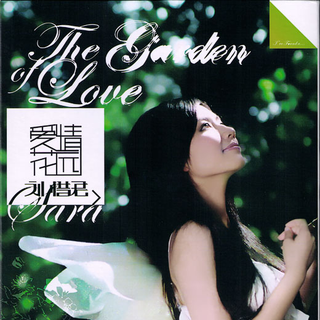 清风扶杨柳～循环