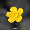 Murk361 - BUTTERCUP