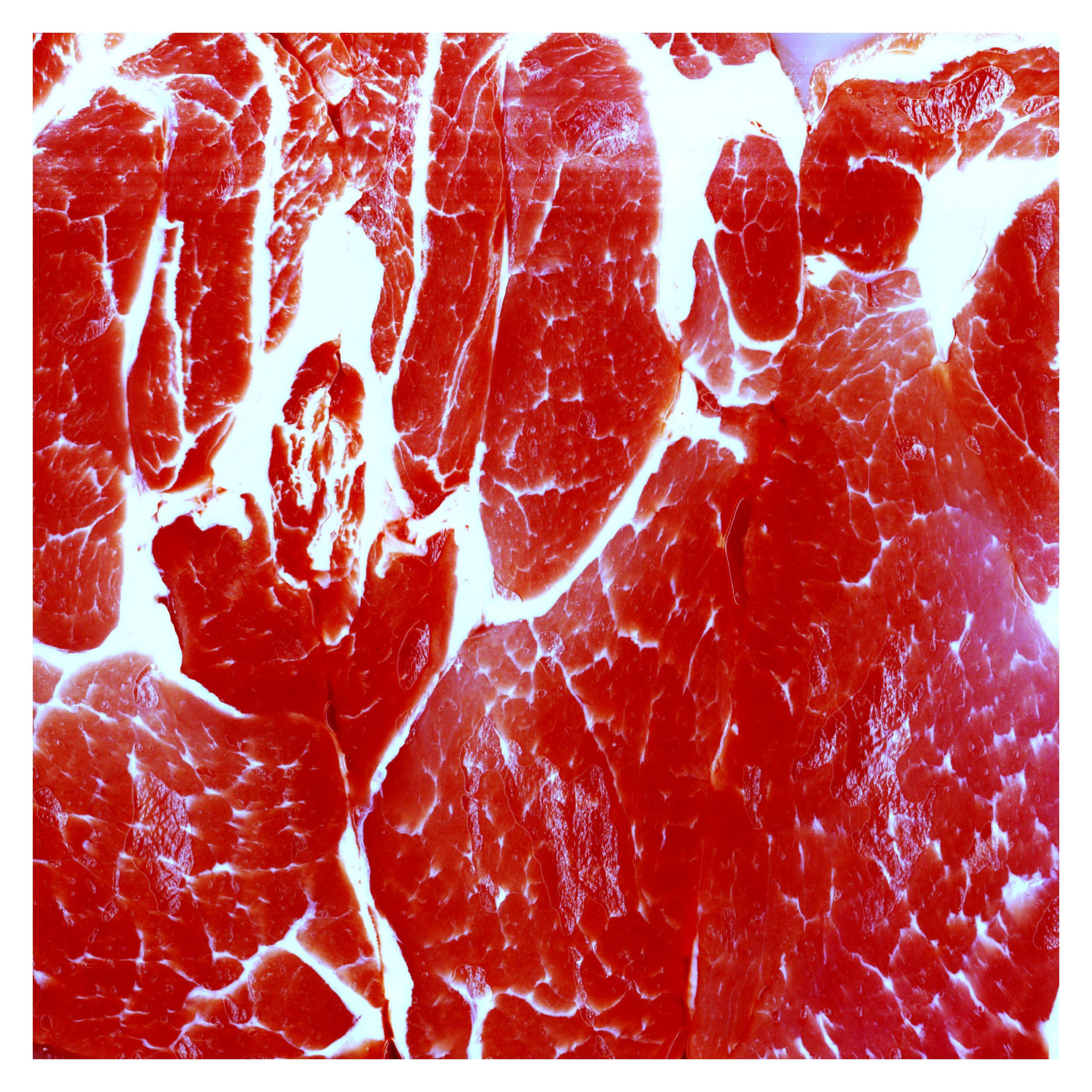 Phlegm EP