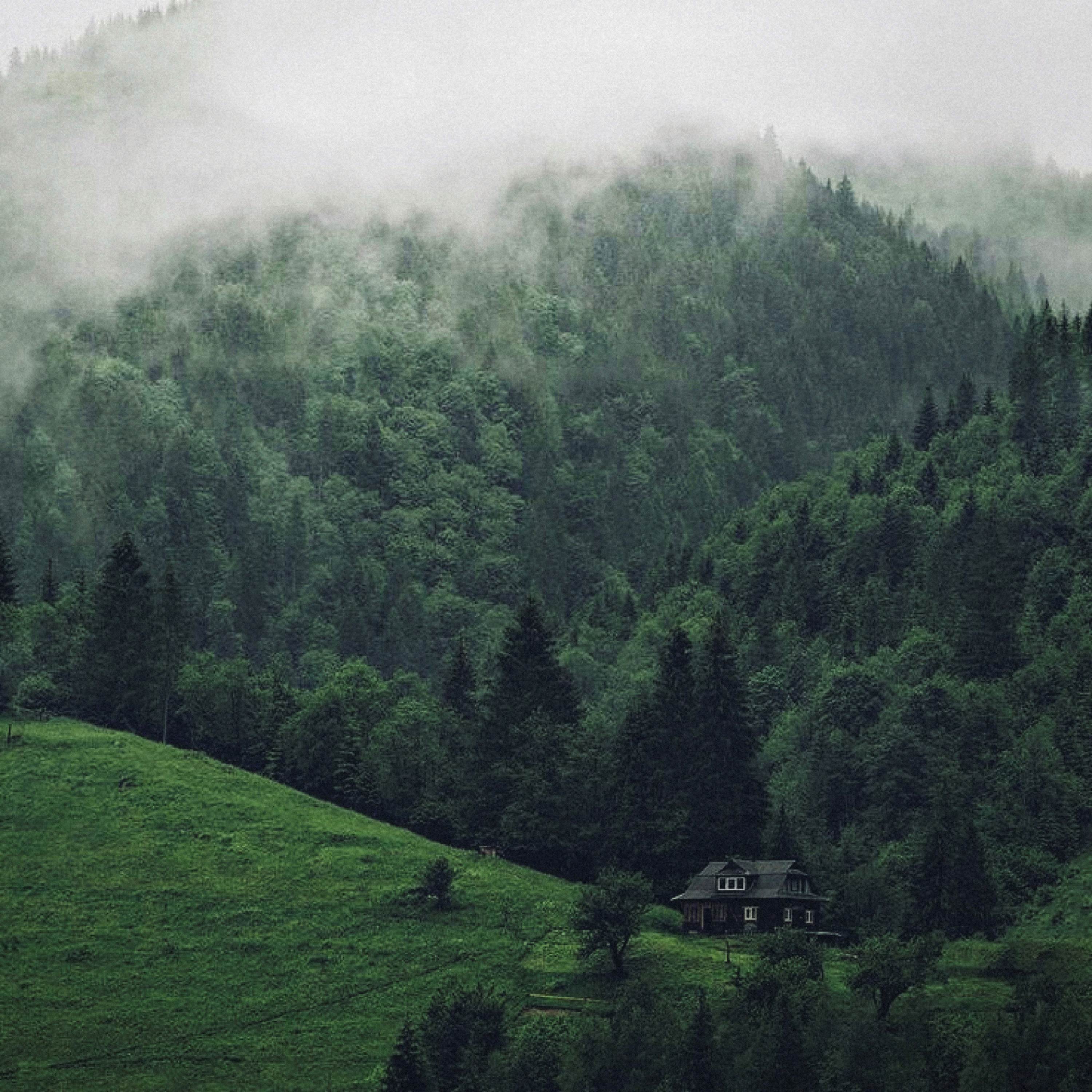 Trouble Don’t Last Always