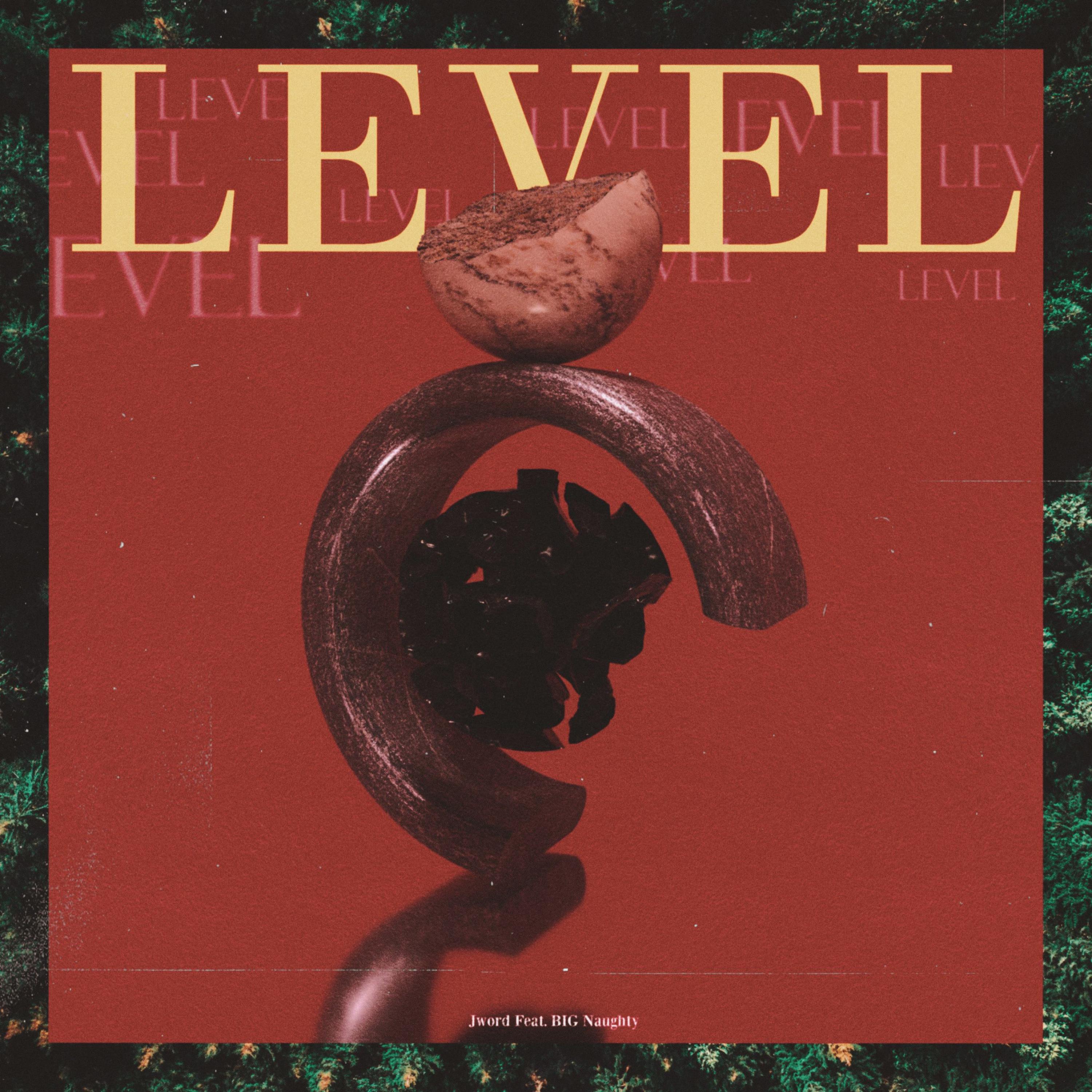 Level (feat. BIG Naughty)专辑