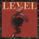Level (feat. BIG Naughty)专辑