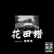 王力宏 - 花田错（wit hook）