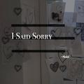I Said Sorry