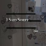 I Said Sorry专辑