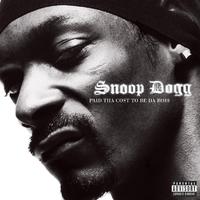 Bottle Pop - the Pusscyat Dolls Ft. Snoop Dogg (HT Instrumental) 无和声伴奏