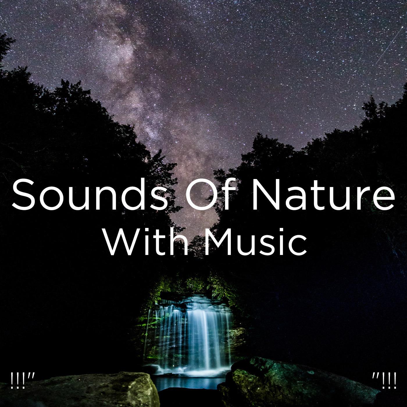 !!!" Sounds Of Nature With Music "!!!
