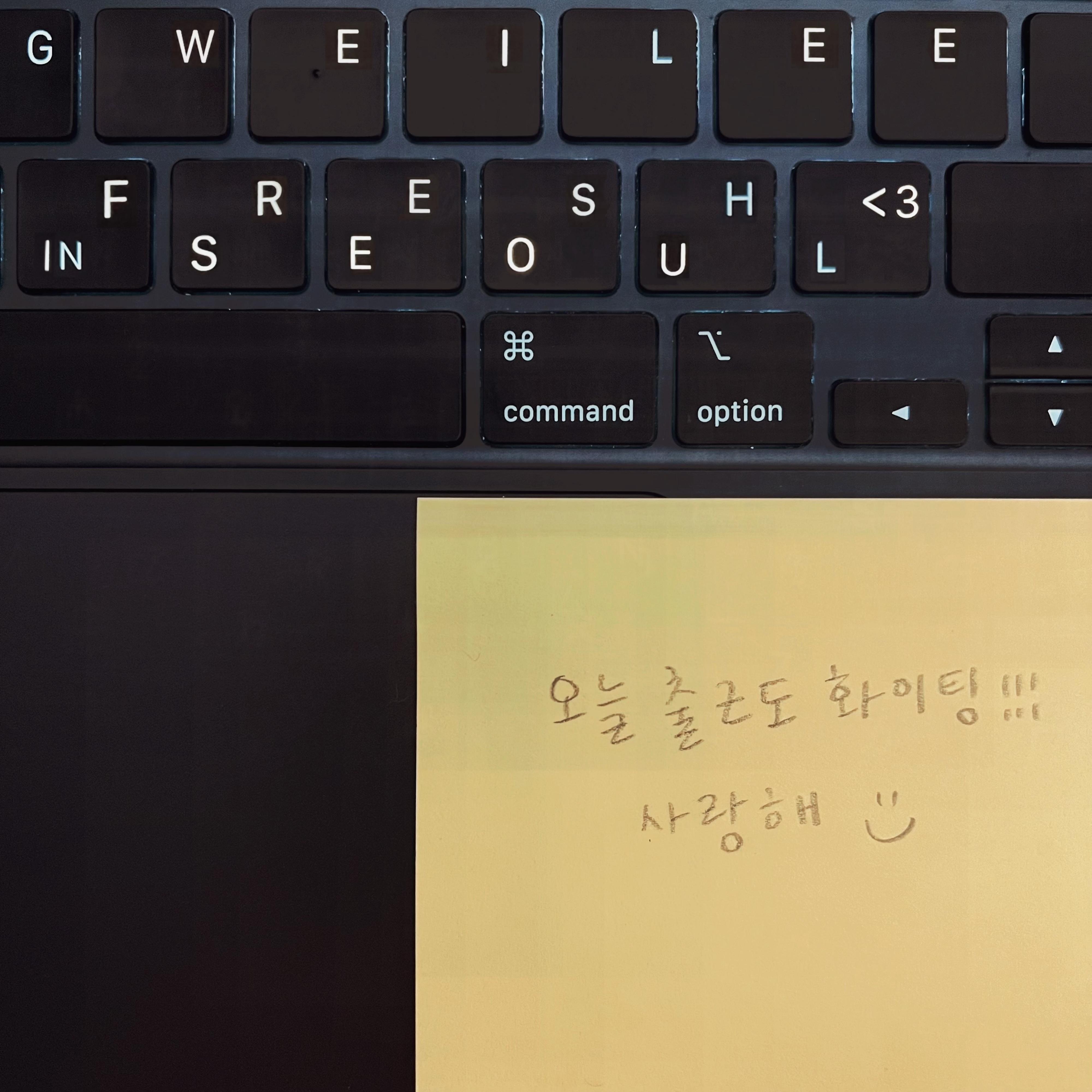 Fresh Love in Seoul