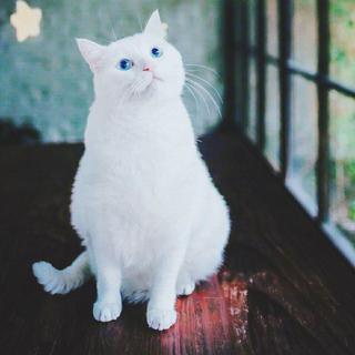 ❤❤『日食记』温暖舒缓背景音乐