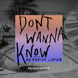Don't Wanna Know (Remix) (Karaoke Version) （原版立体声） （降5半音）