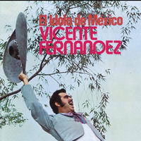 Vicente Fernandez - Si Acaso Vuelves (karaoke)