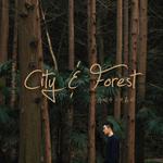 一座城市，一片森林专辑