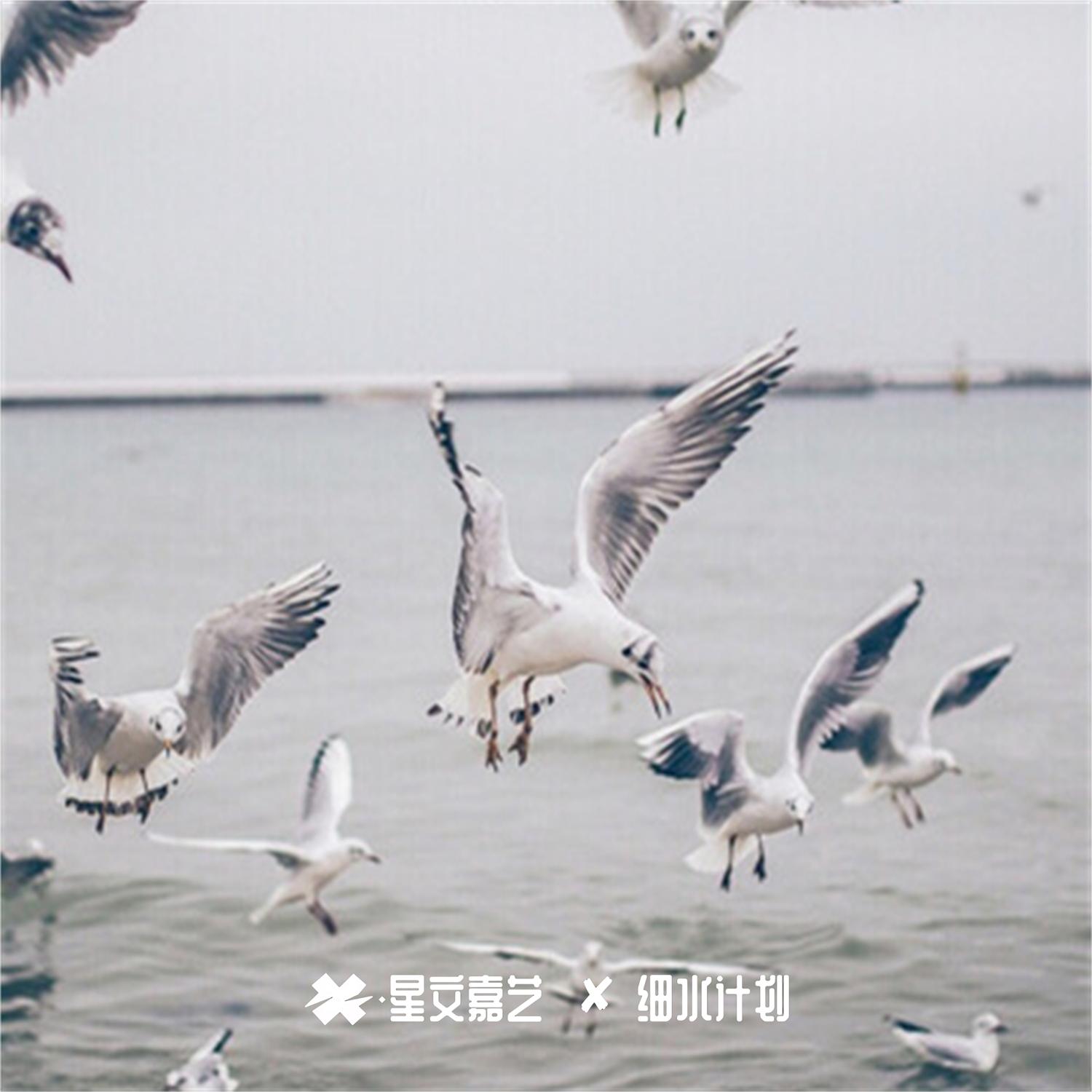 拼好歌