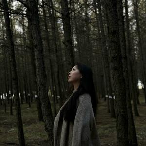 苏运莹-消失 和声伴奏