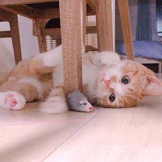 雪糕的第一口给你8 的歌单