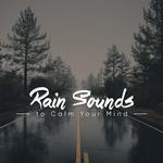 #15 Calming Rain Sounds - Quiet and Reflective专辑