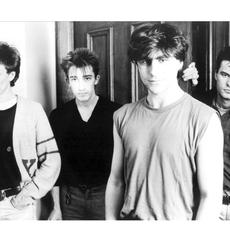 The Chameleons