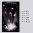 夜昙