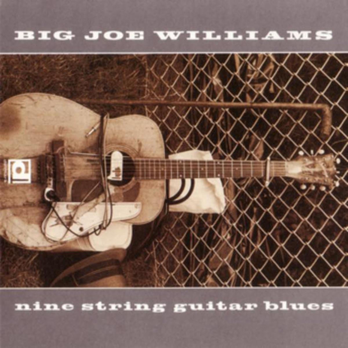 Nine String Guitar Blues