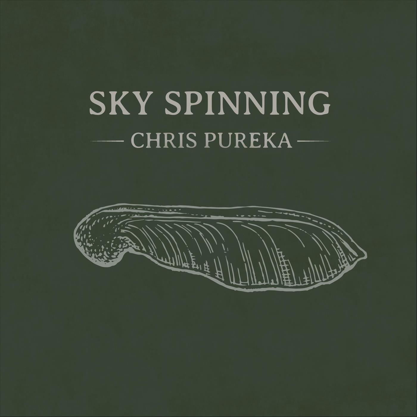 Sky Spinning