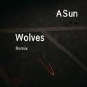 Wolves Remix专辑