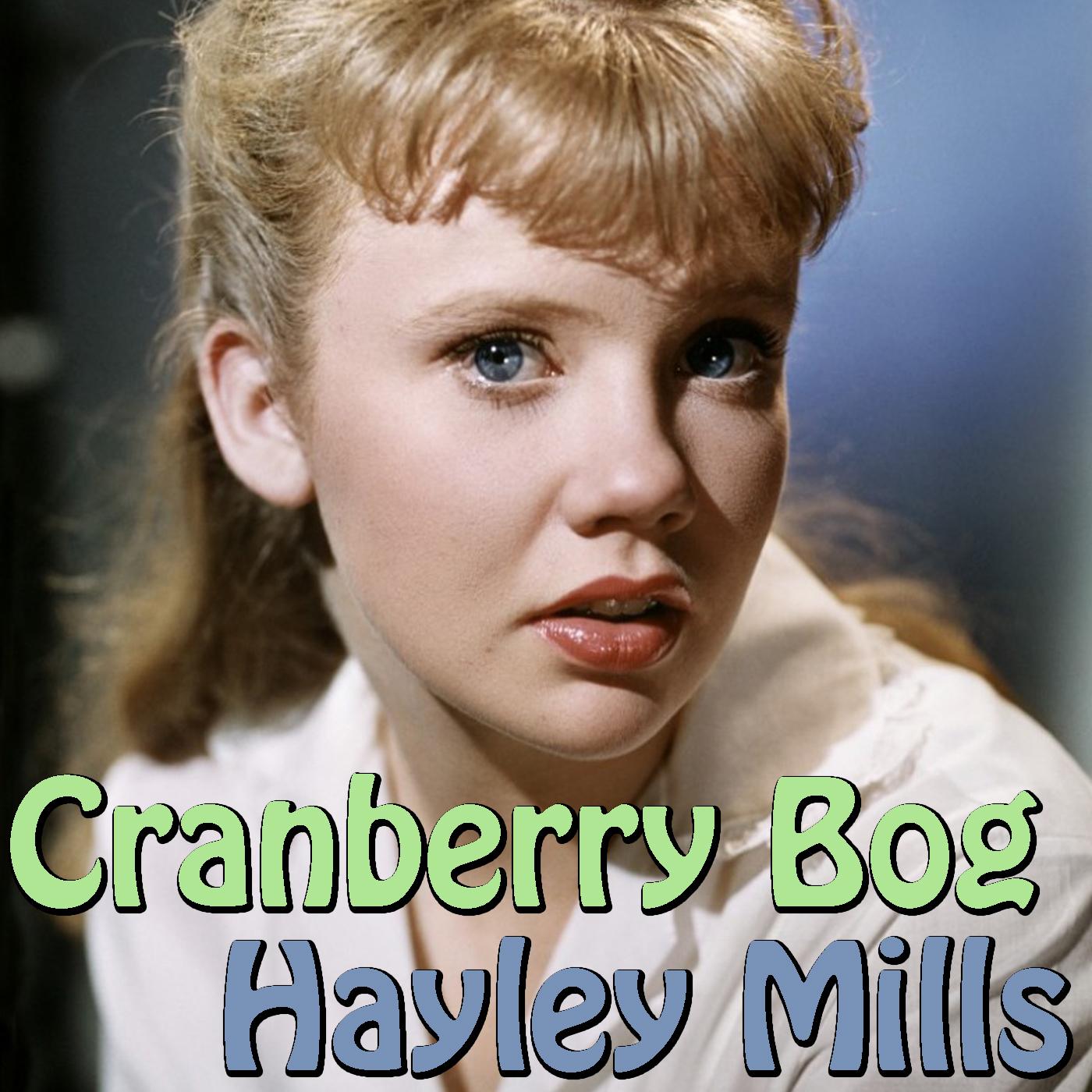 Cranberry Bog