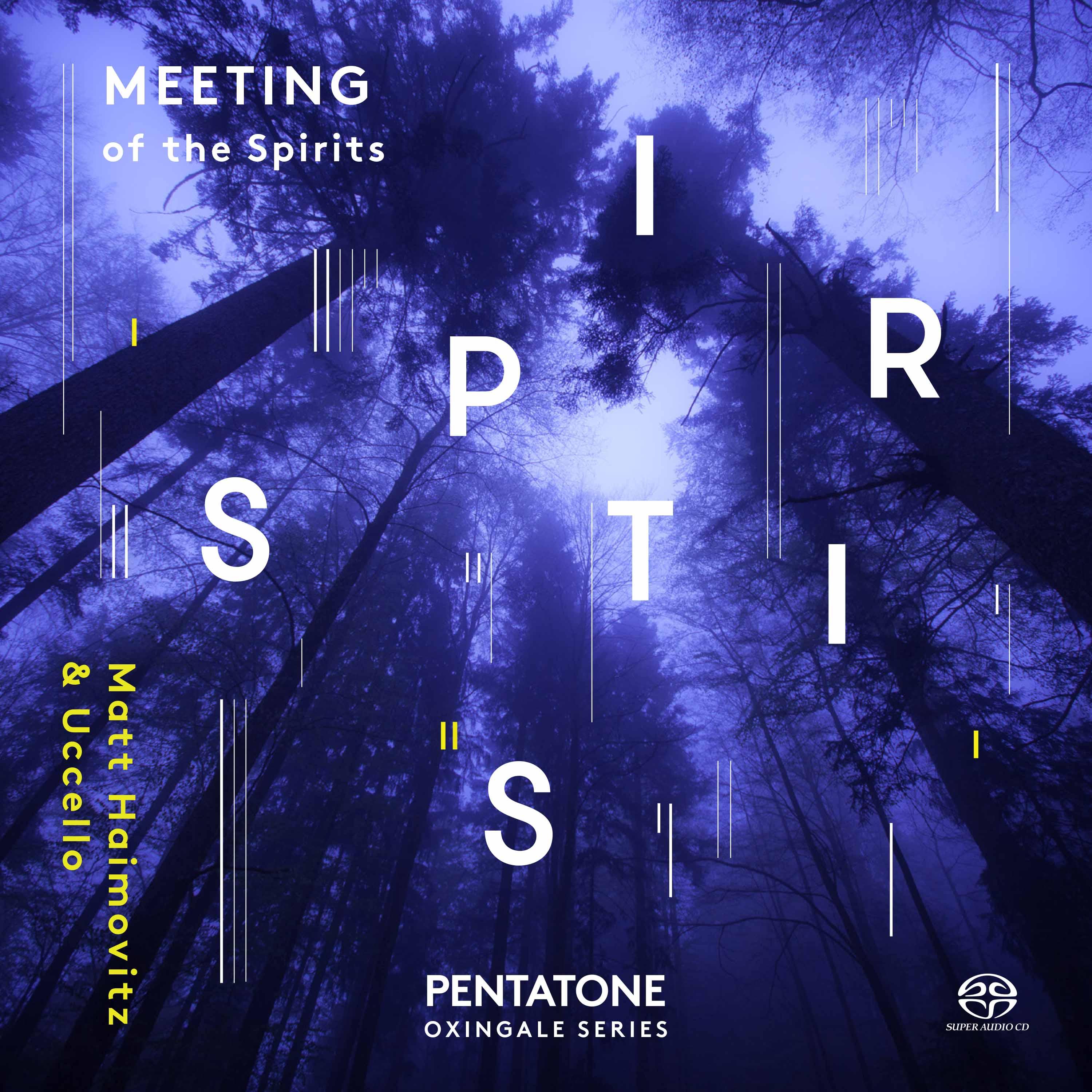 HAIMOVITZ, Matt / UCCELLO: Meeting of the Spirits