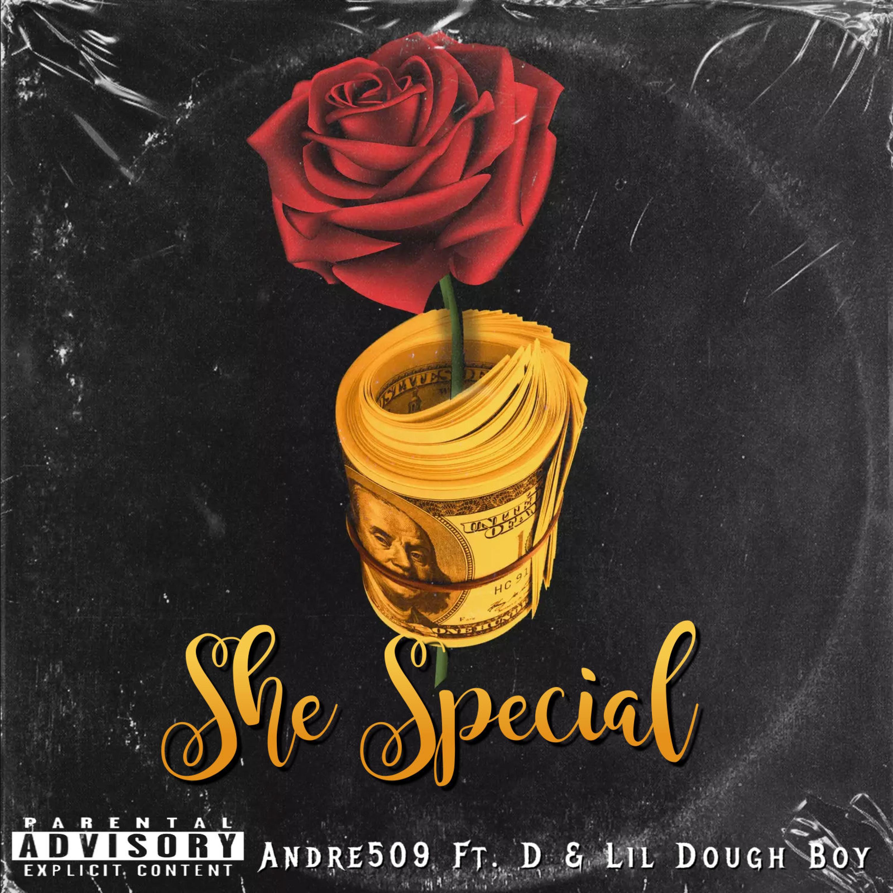 She Special (feat. D & Lil Dough Boy)