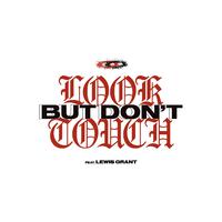 Look but Don't Touch - Shirley Bassey (Karaoke Version) 带和声伴奏