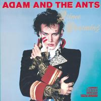 Prince Charming - Adam & The Ants (AM karaoke) 带和声伴奏