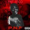 PNF RECO - P.N.F.