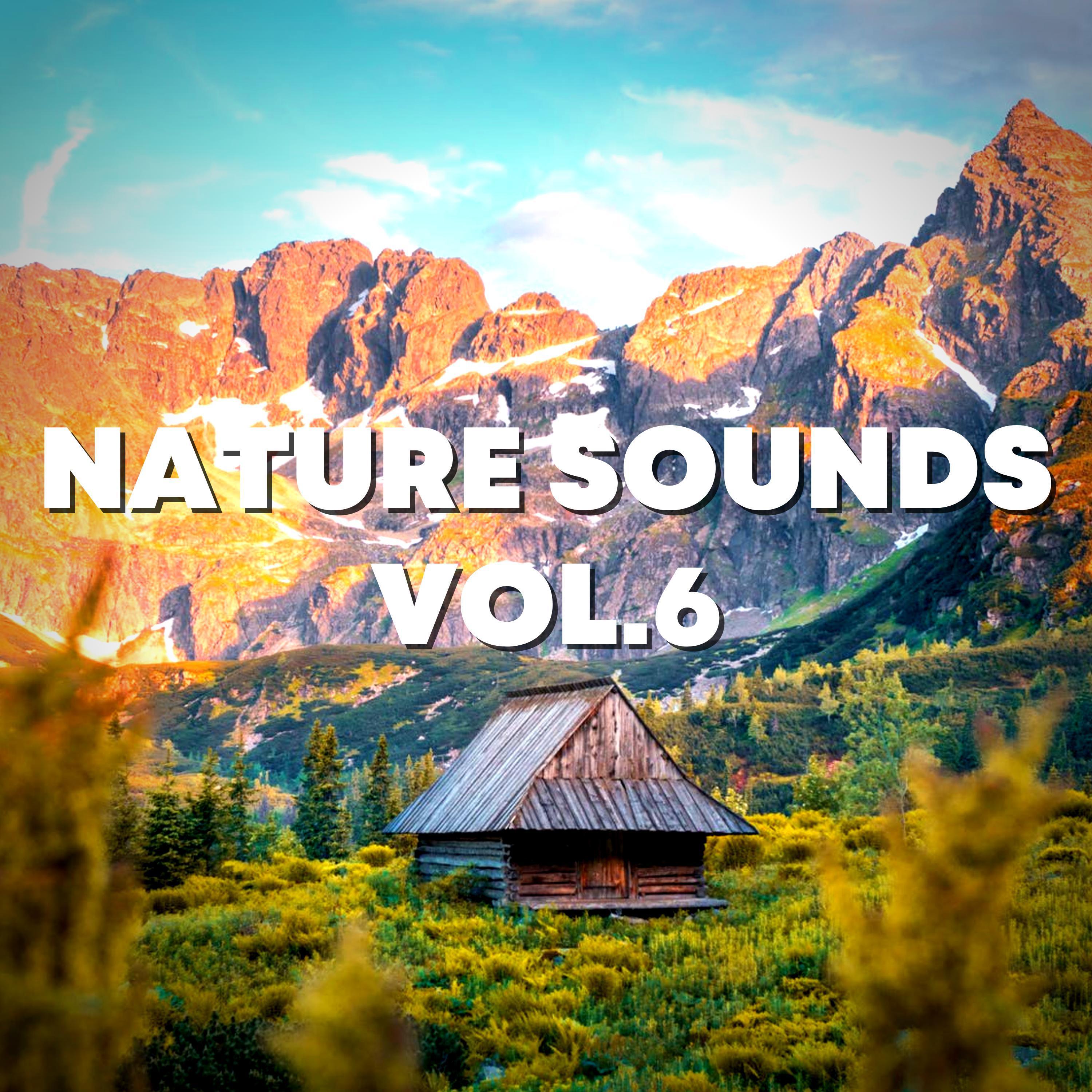 Neighborhood Sounds At Night - Nature Sounds Nature Seasons/Ibiza ...