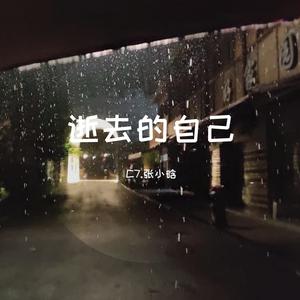 步步惊心-情深3 （升4半音）