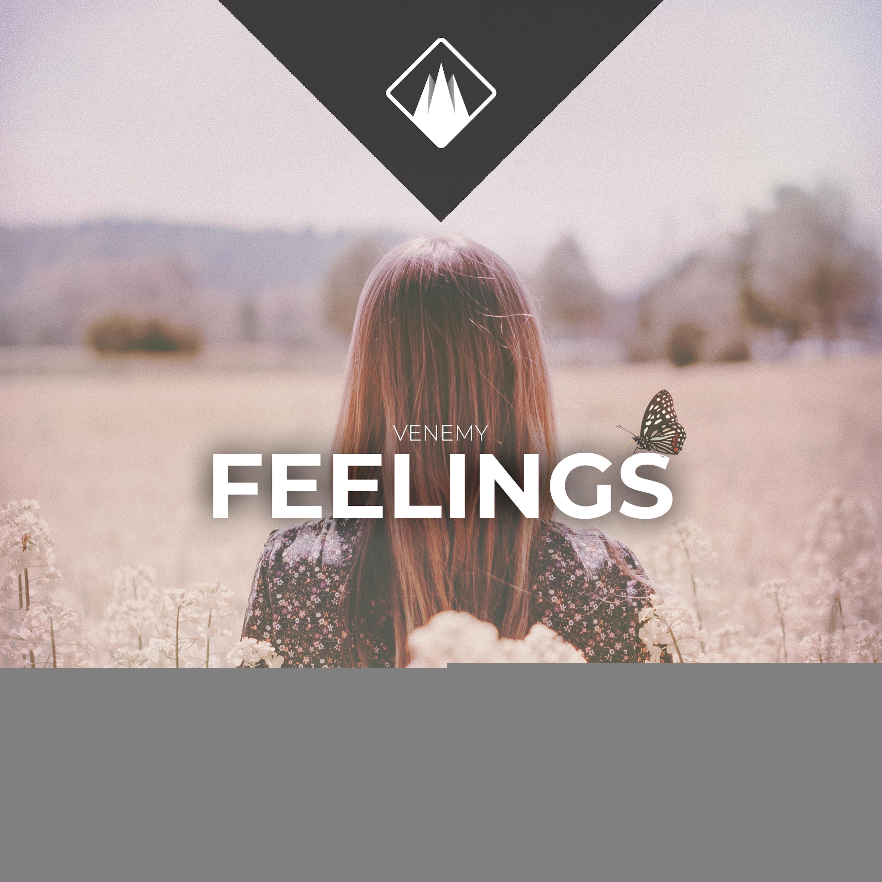 Feelings