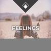 Venemy - Feelings