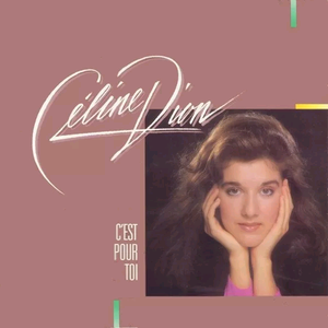 C'est Pour Toi - Céline Dion (karaoke) 带和声伴奏