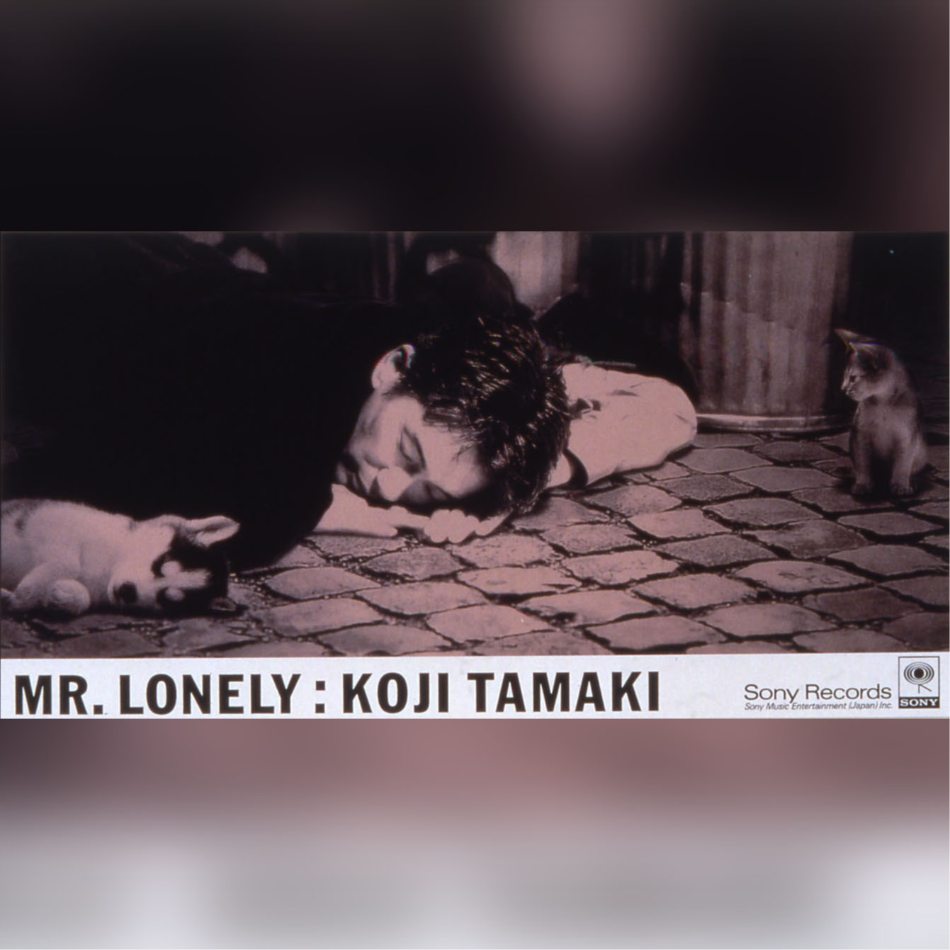 MR.LONELY