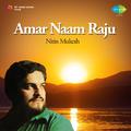 Nitin Mukesh Amar Naam Raju