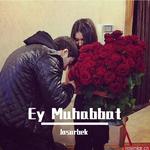 Ey Muhabbat专辑