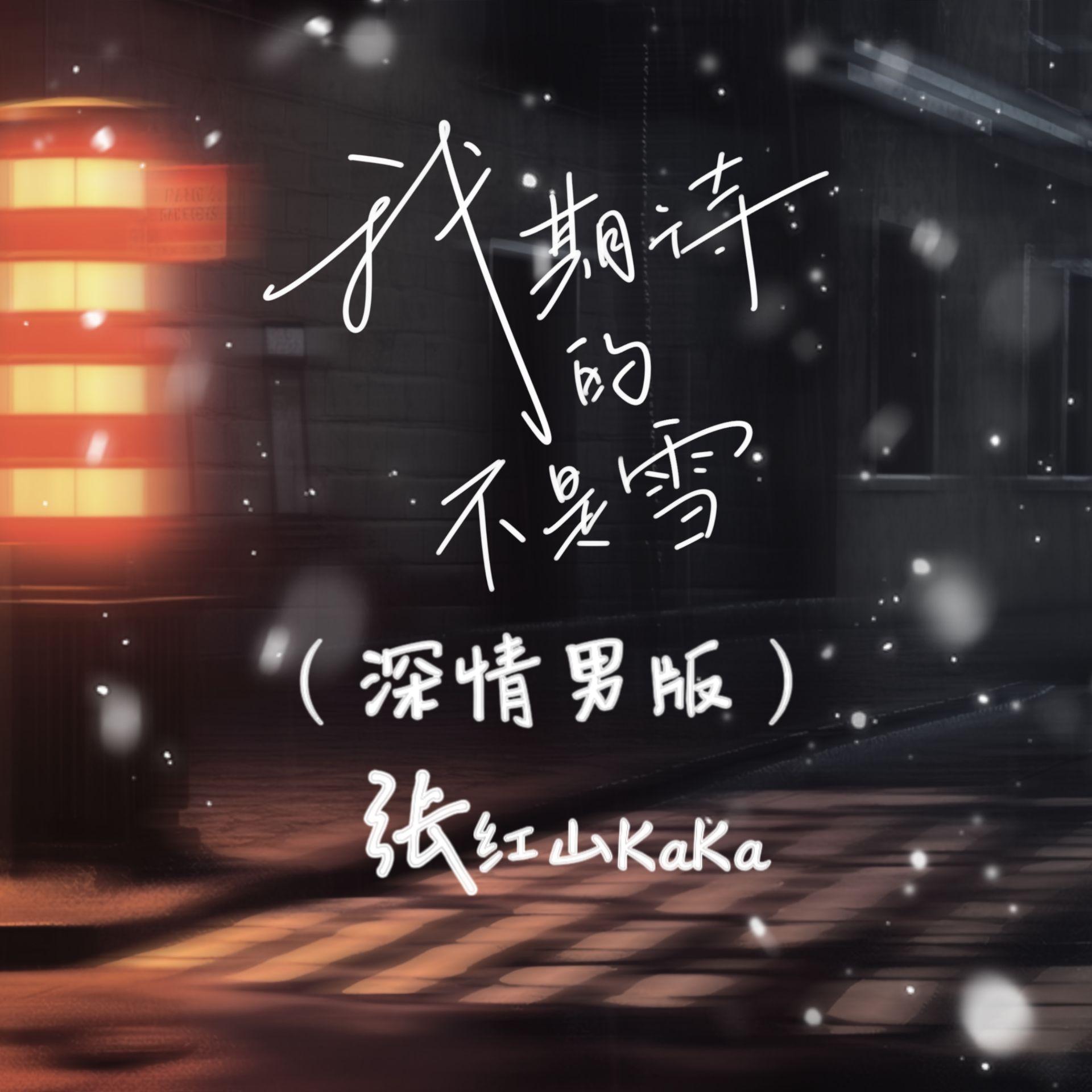 张红山KaKa - 我期待的不是雪(深情男版)