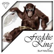 Surf Monkey