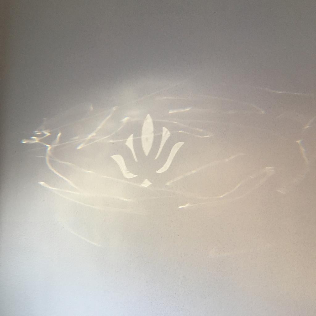 Lamp Shade