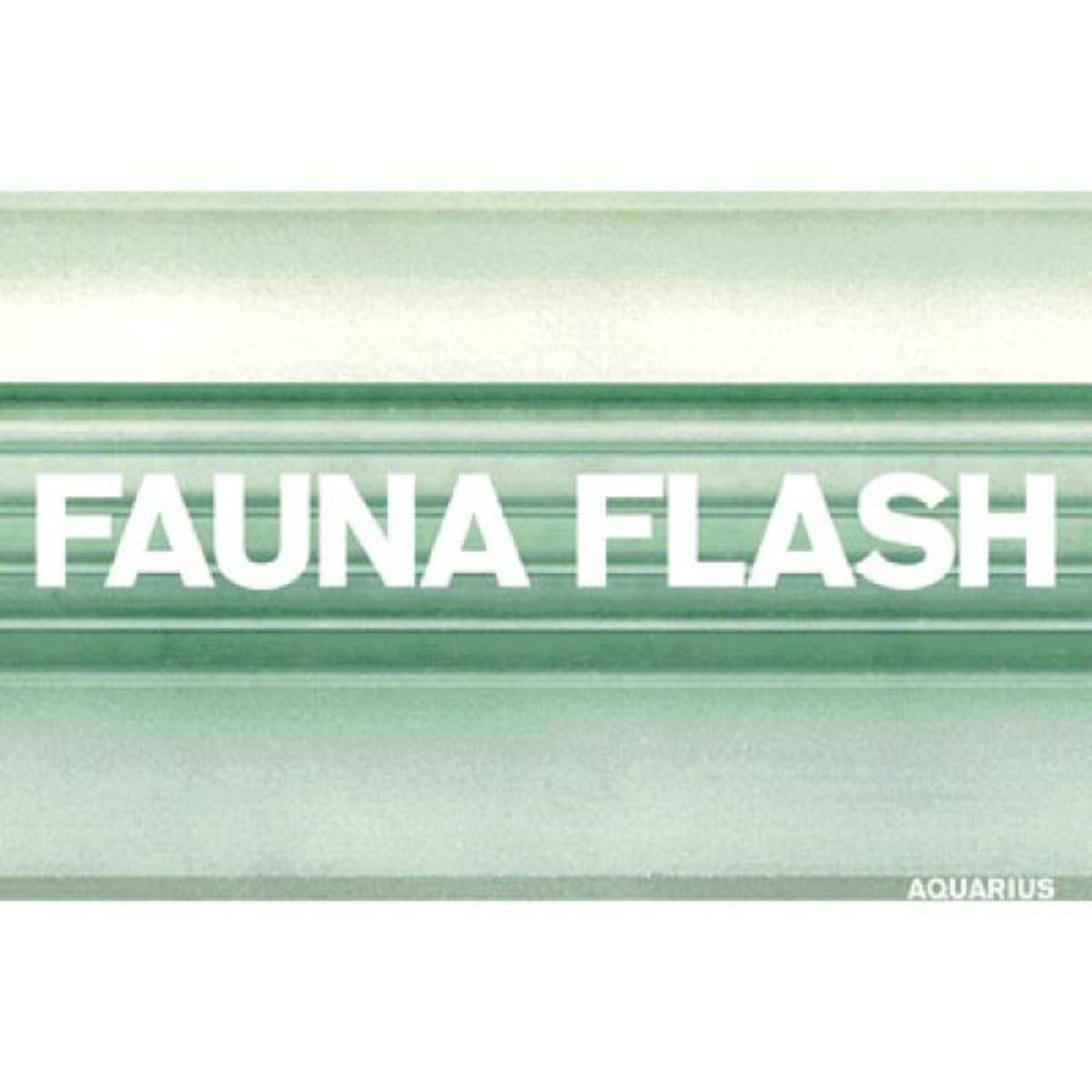 Fauna Flash - Kiss